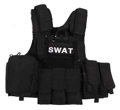 [img width=300]http://i160.photobucket.com/albums/t161/dinodazer/04573a.jpg[/img]