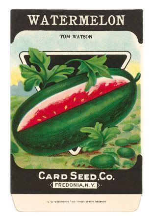 FR-00069-CWatermelon-Seed-Packet-Po.jpg