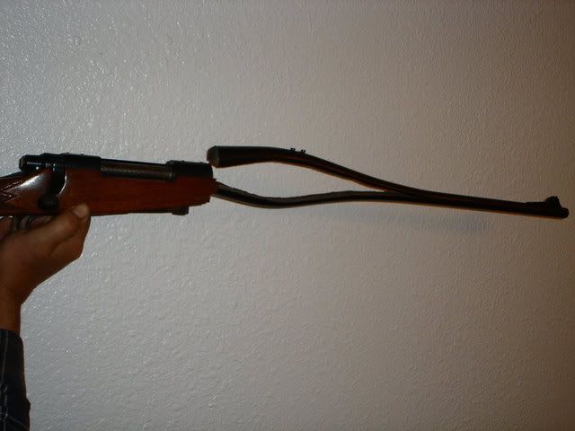 Gun-wolf-ammo-2.jpg