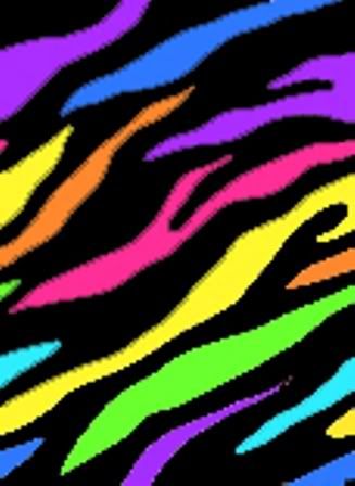 zebraprint1jpg colorful zebra