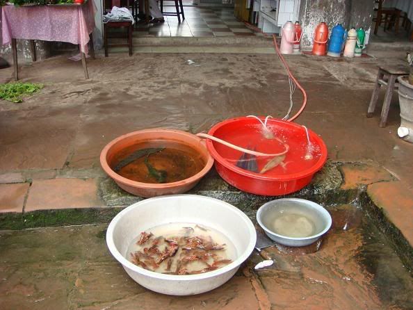 Photo Sharing and Video Hosting at Photobucket