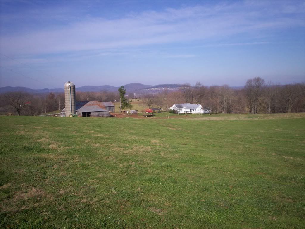 What does your pasture look like today?? - Cattle
