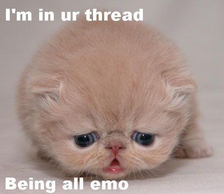 emo friendster wallpaper. emo friendster wallpaper. usercp emograph comment