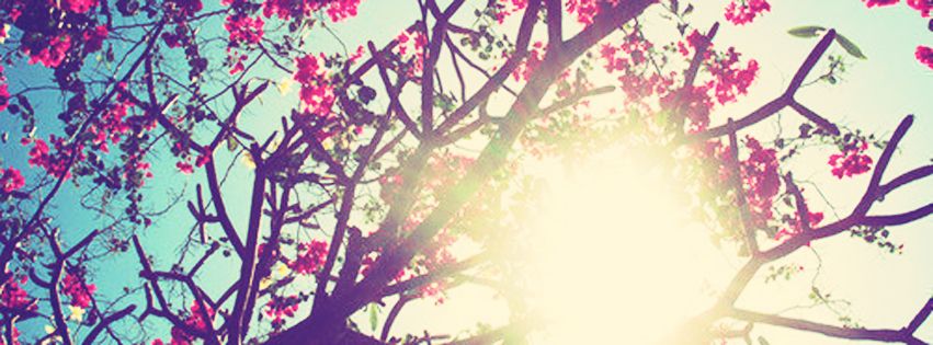 Flower Suns Up Facebook Cover Photo