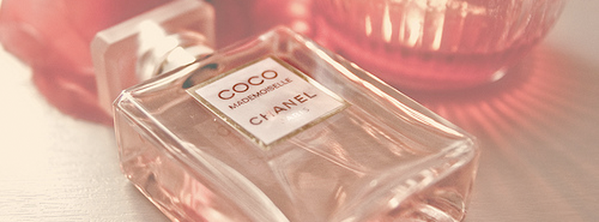 coco-chanel-girly.png (851×315)