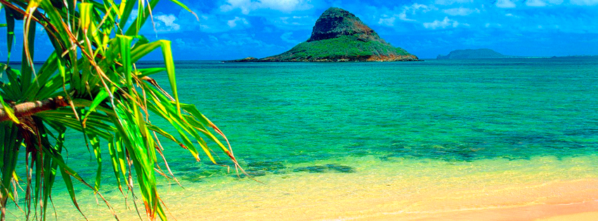 hawaii-beach.png (851×315)