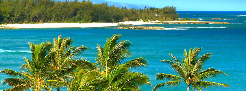 hawaii-beach2.png (851×315)