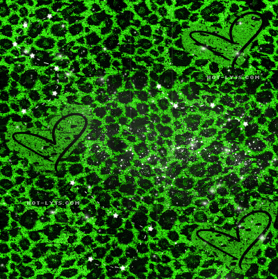 desktop wallpaper leopard print. animal print wallpaper for