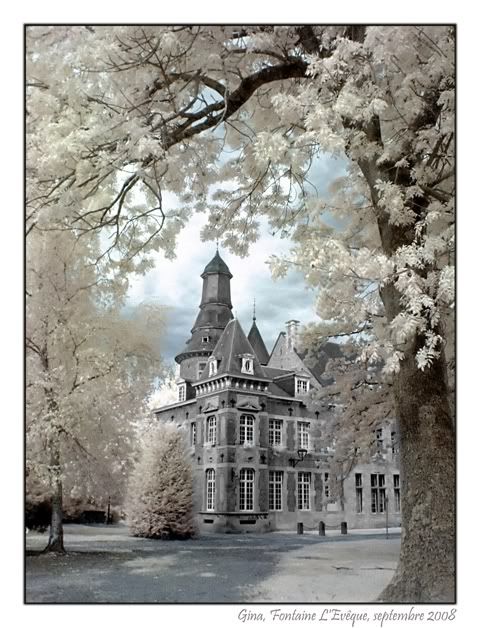 Fontaine - Château Bivort 1