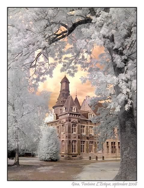 Fontaine - Château Bivort 2