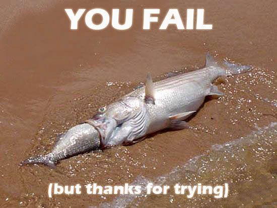 http://i160.photobucket.com/albums/t164/sirbartonslady/macros/massivefail.jpg