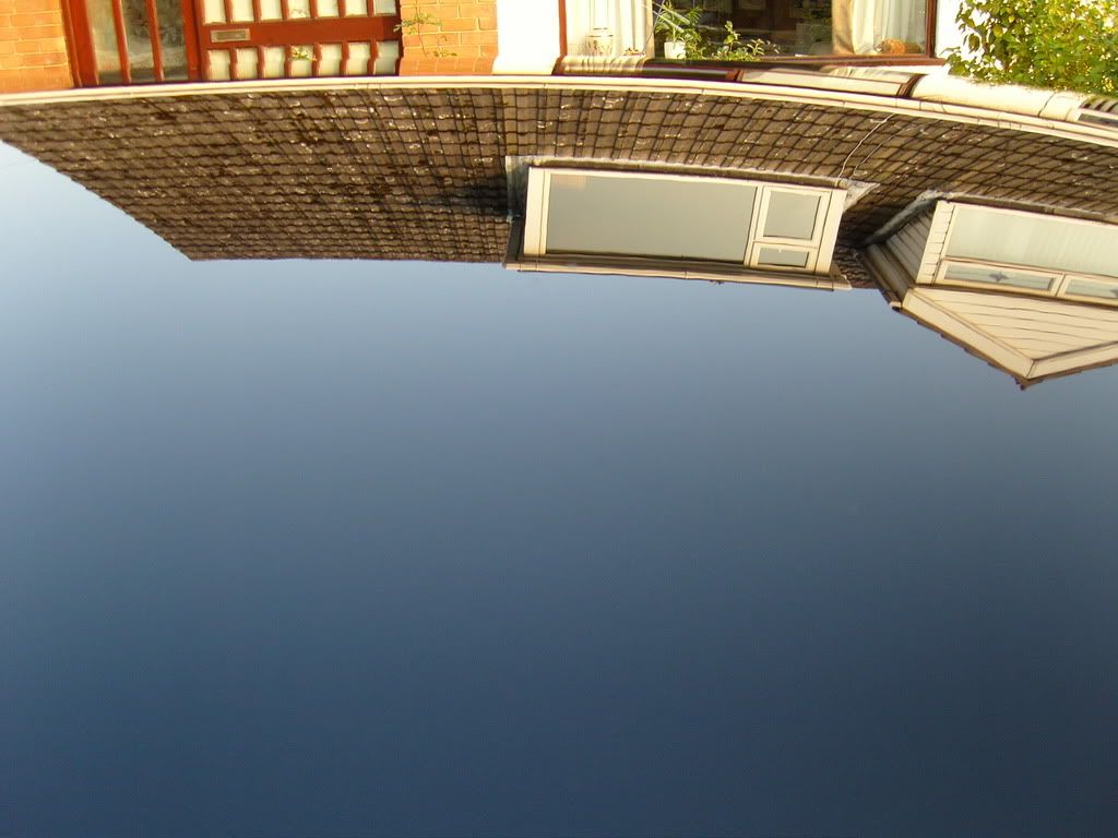 051-1.jpg