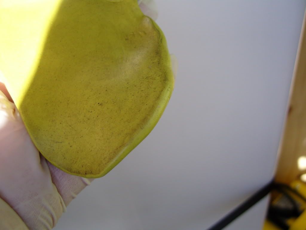 n11.jpg
