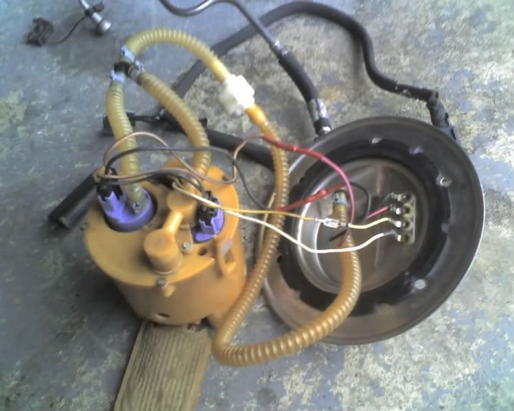 Cobra fuel pumps Modded Mustang Forums