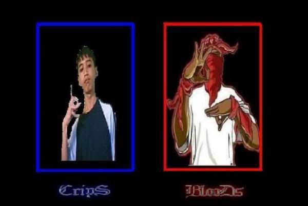 crips vs bloods. Crips VS BlooDs Image