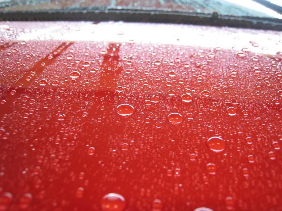 IMG_0803re.jpg