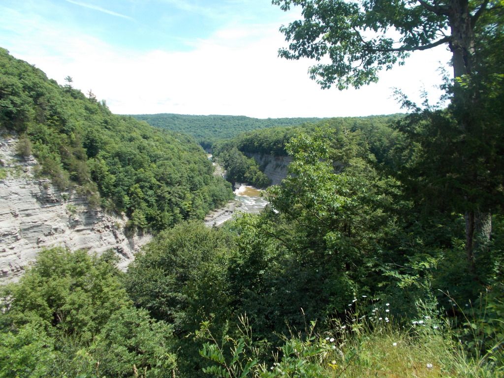 http://i160.photobucket.com/albums/t167/llorentz/Cruises/062512_Letchworth/DSCN0076.jpg