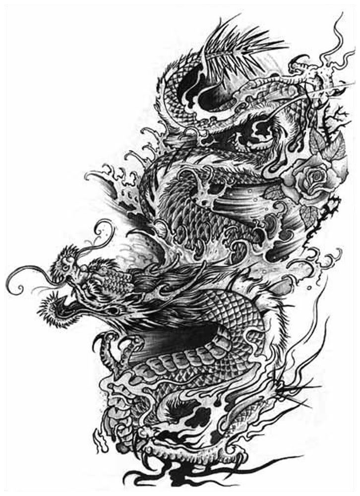 black &amp; white dragon Pictures, Images and Photos