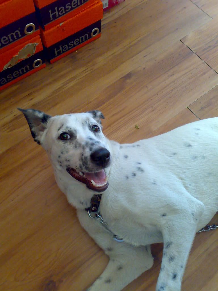 030720082044.jpg