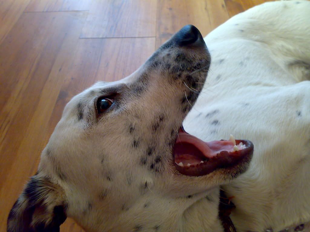 030720082046.jpg