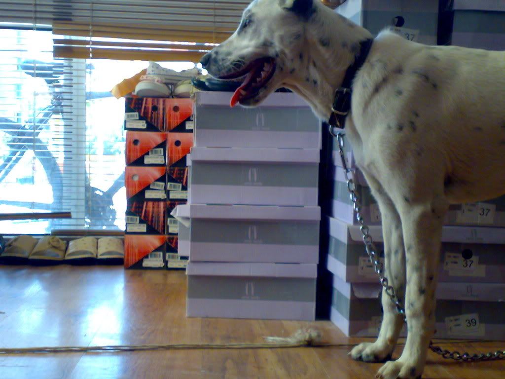 030720082048.jpg