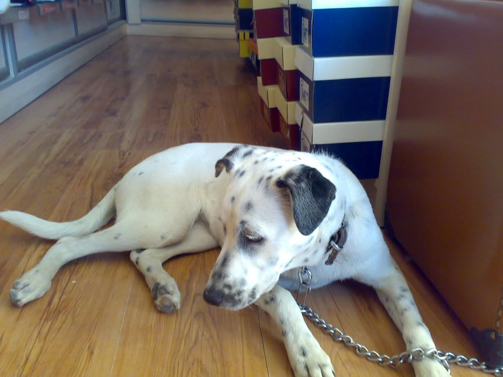 030720082055.jpg