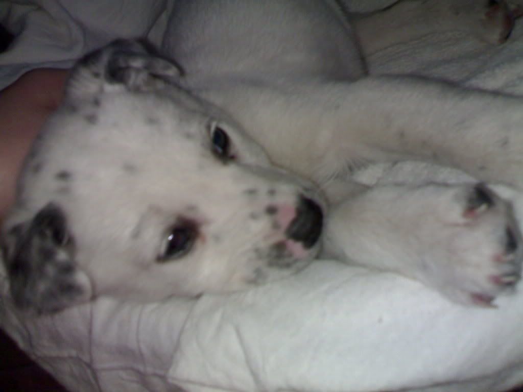 060220084841.jpg