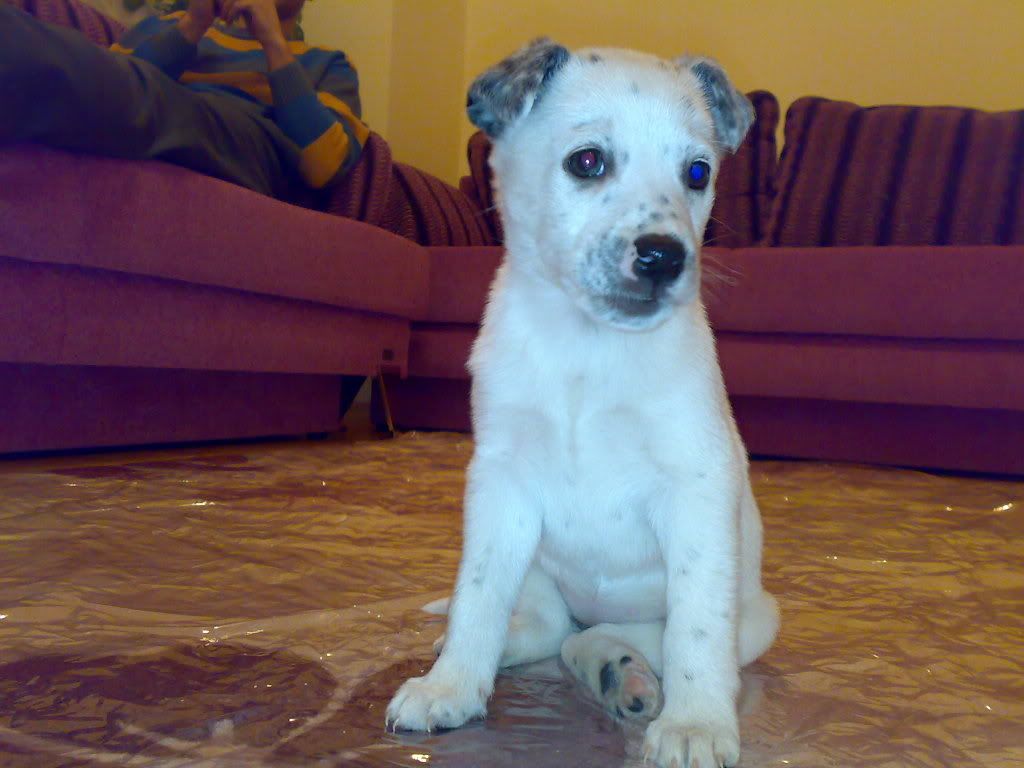 09022008079.jpg