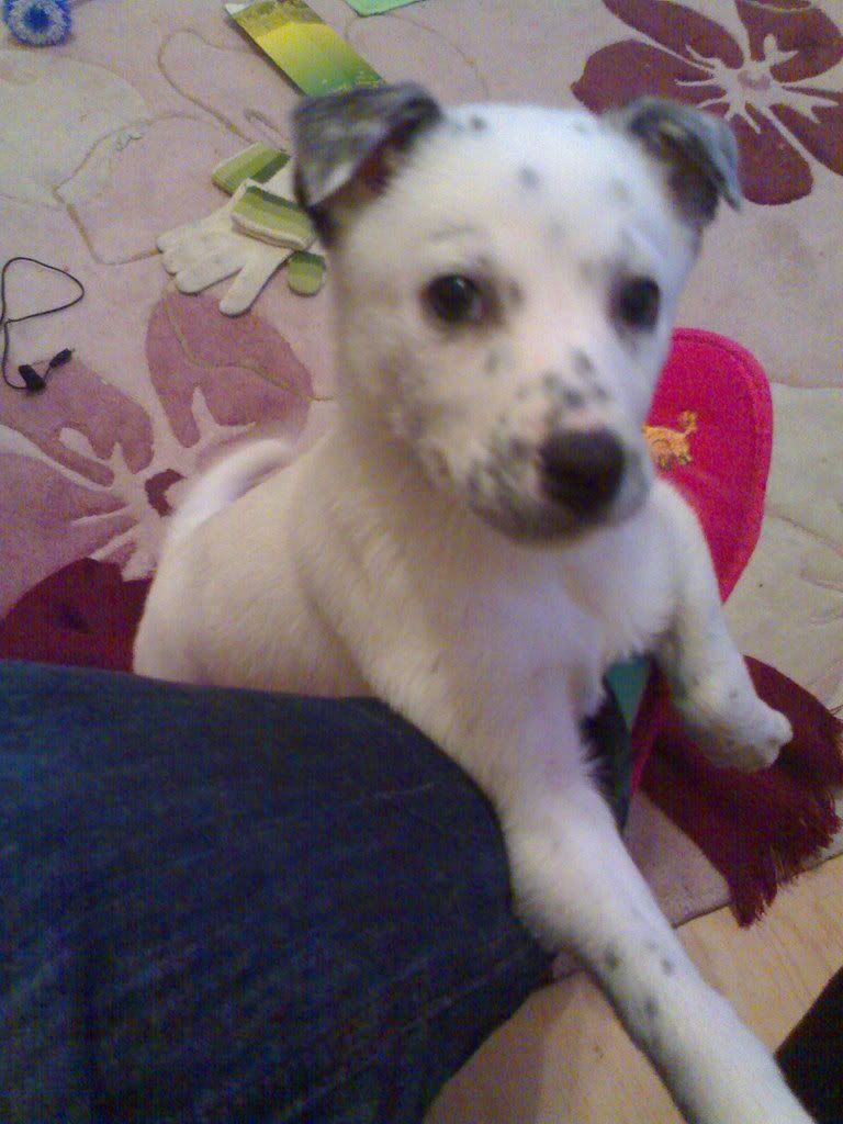 200220084905.jpg