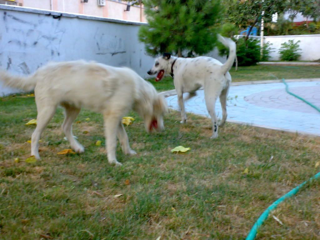 230720082231.jpg