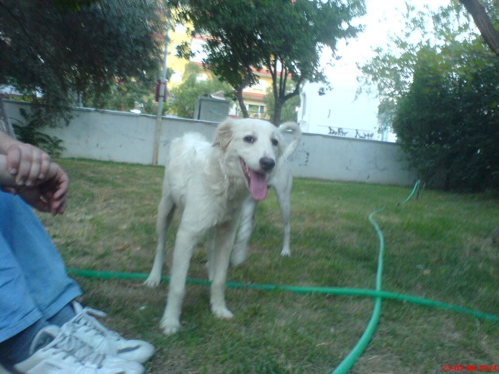 DSC01377.jpg