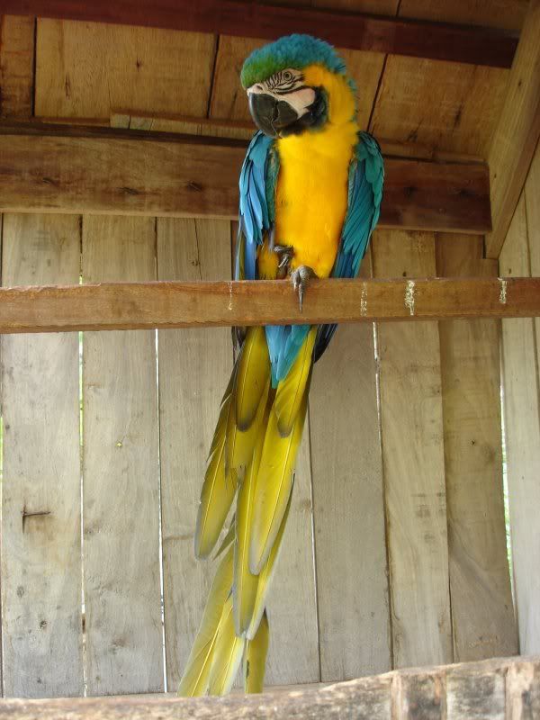 Dsc00072.jpg