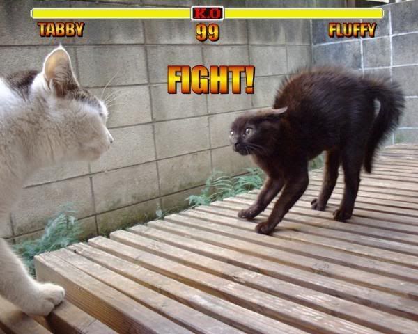 [Imagen: fight.jpg]
