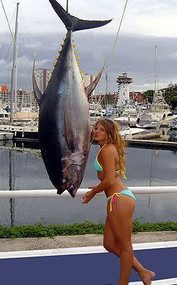 Sexy girl in small bikini and yellowfin tuna
