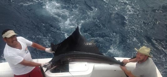 [Image: Puerto_Vallarta_fishing-July-536x249_zps35234c80.jpg]