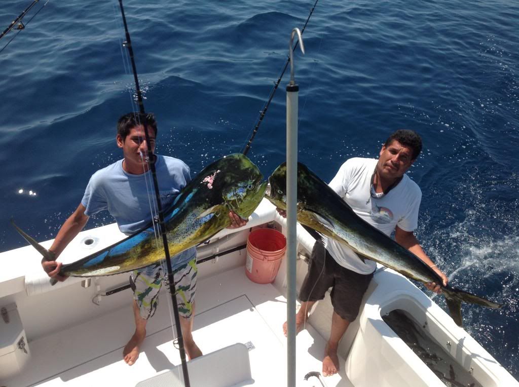 [Image: doroado-fishing-puertovallartamexico_zpsd87770ee.jpg]