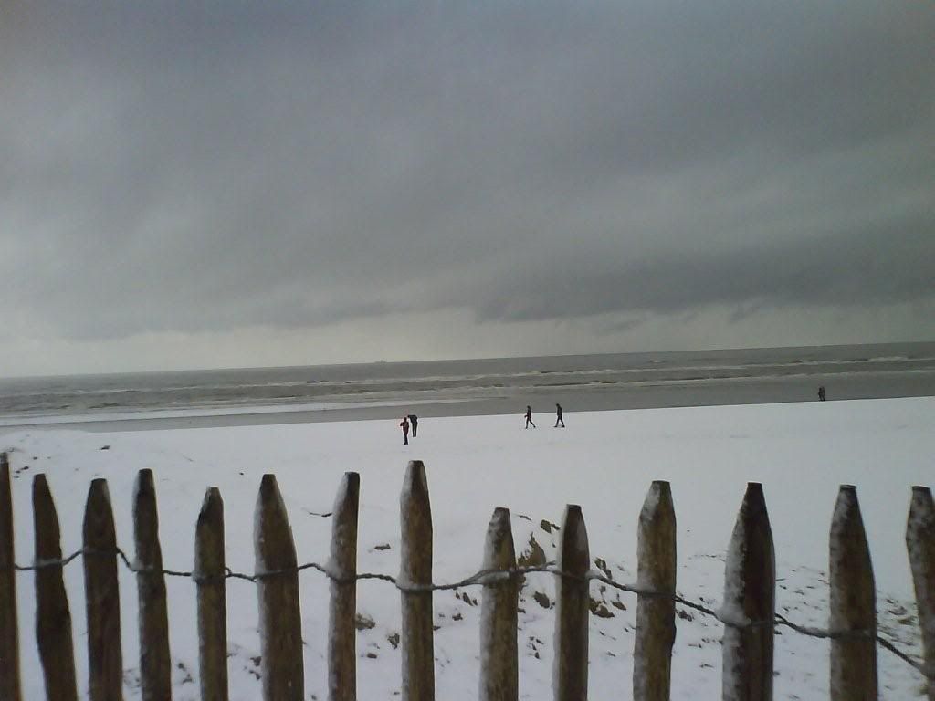 snow at the beach 1 Pictures, Images and Photos