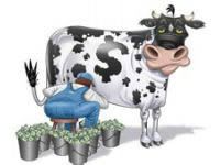 cash cow