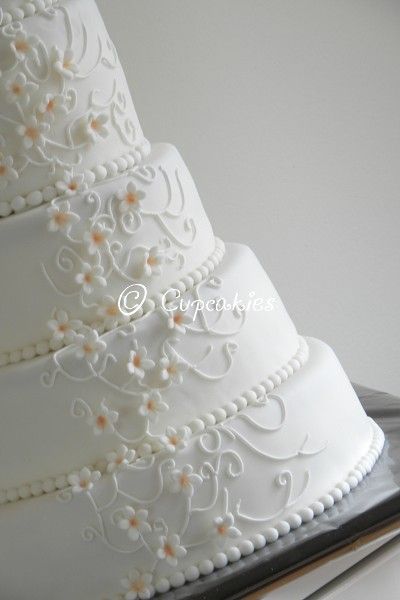 http://i160.photobucket.com/albums/t170/JoyceCollin/Taart/DSCN8184-border_zps84e3d8cc.jpg