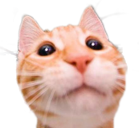 1290545834457-2.png