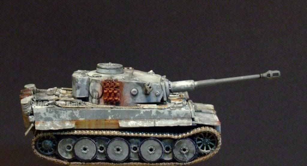 172TigerCompletedRESIZED002_zpsb28b3dc0.jpg