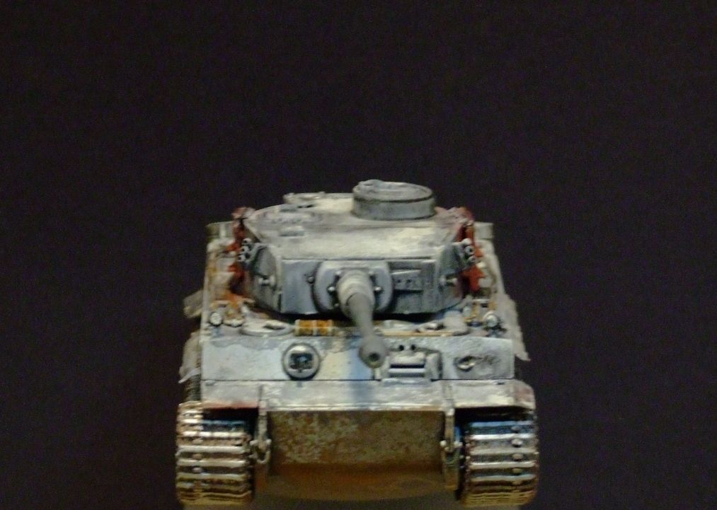 172TigerCompletedRESIZED005_zpsf82877a3.jpg