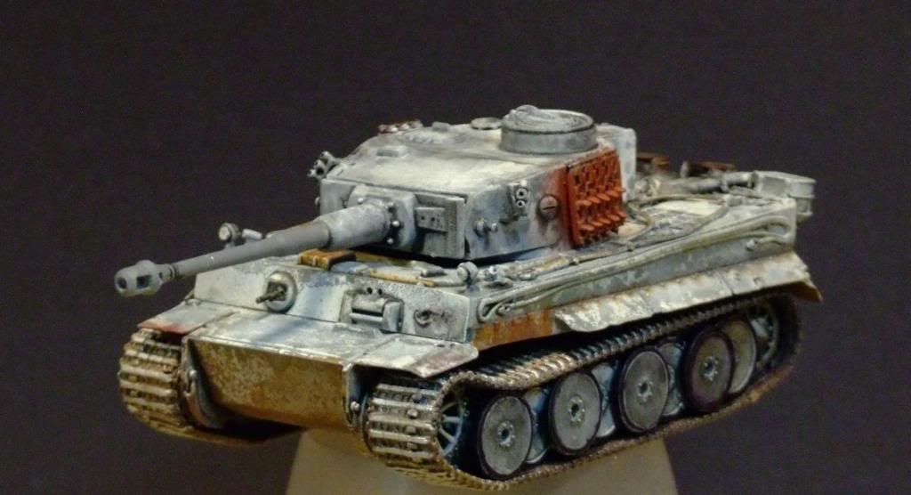 172TigerCompletedRESIZED006_zps9afabfd5.jpg