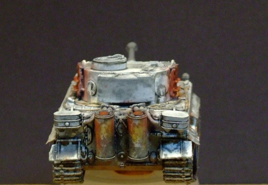 172TigerCompletedRESIZED010_zps9aff8a62.jpg
