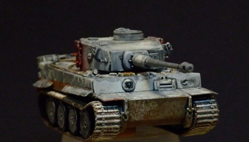 172TigerCompletedRESIZED016_zpse86450c8.jpg