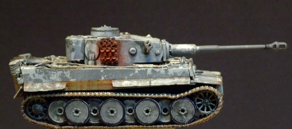172TigerCompletedRESIZED029_zps7b6e9da8.jpg