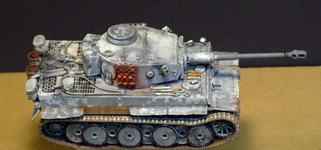 172TigerCompletedRESIZED030_zps51575efd.jpg