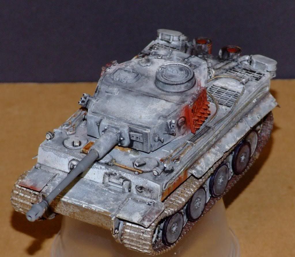 172TigerCompletedRESIZED034_zpsf240c8c9.jpg