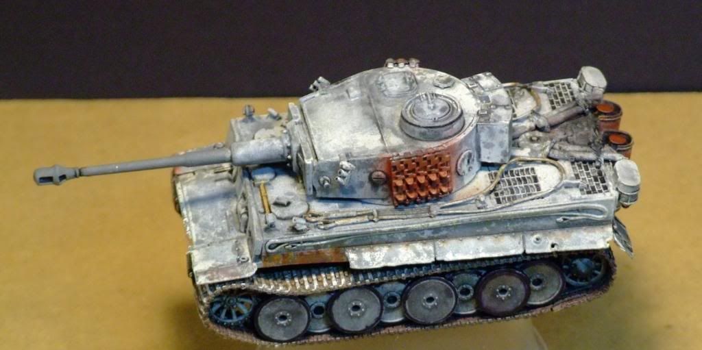 172TigerCompletedRESIZED037_zpsd6c57069.jpg