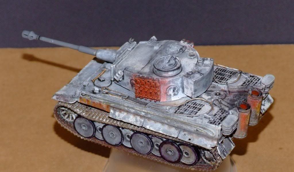 172TigerCompletedRESIZED039_zps85cfe4c9.jpg